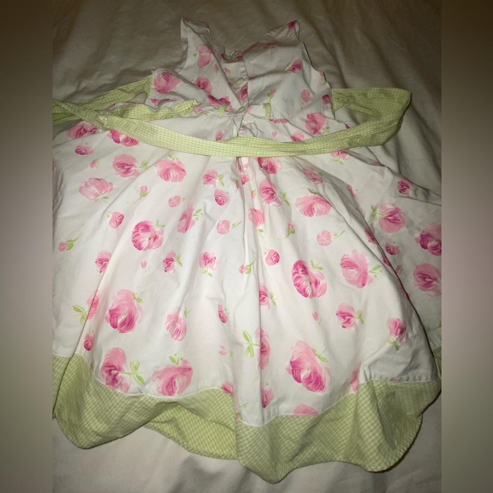 Plum Pudding dress 4 T